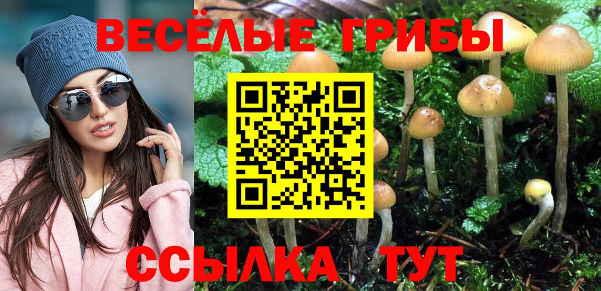 Галлюциногенные грибы ЛСД Асино